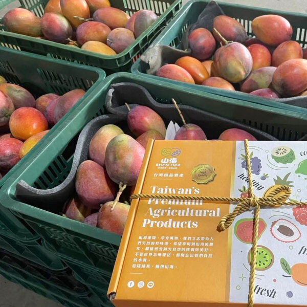 愛文芒果 ｜ Ai Wen Mengo